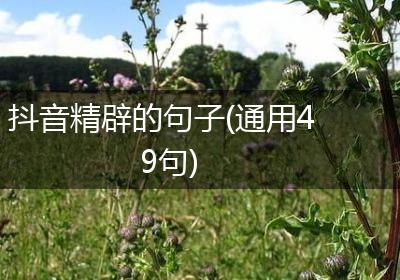 抖音精辟的句子(通用49句)