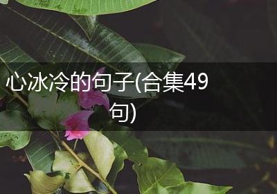心冰冷的句子(合集49句)