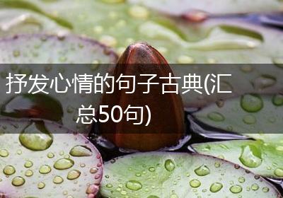 抒发心情的句子古典(汇总50句)