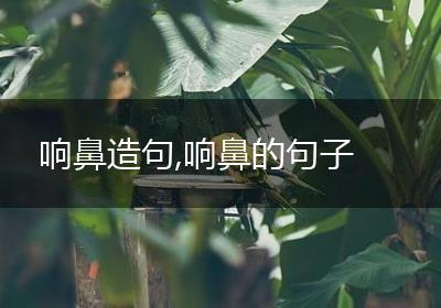 响鼻造句,响鼻的句子