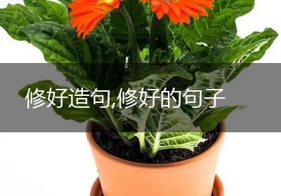 修好造句,修好的句子