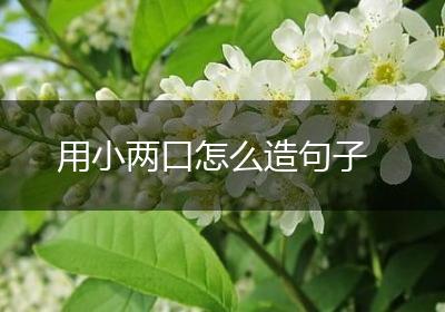 用小两口怎么造句子
