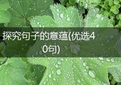 探究句子的意蕴(优选40句)