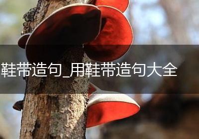 鞋带造句_用鞋带造句大全