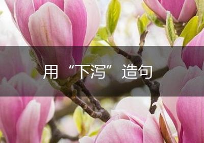 用“下泻”造句