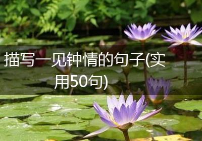 描写一见钟情的句子(实用50句)