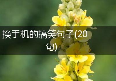 换手机的搞笑句子(20句)