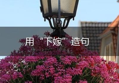 用“下嫁”造句