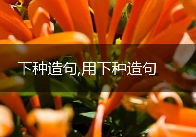下种造句,用下种造句