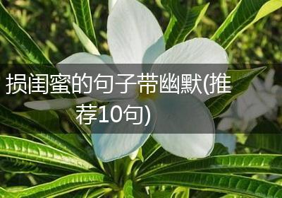 损闺蜜的句子带幽默(推荐10句)