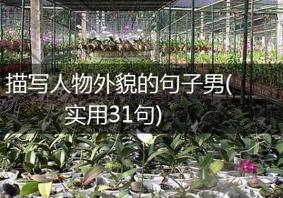 描写人物外貌的句子男(实用31句)