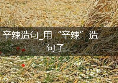 辛辣造句_用“辛辣”造句子