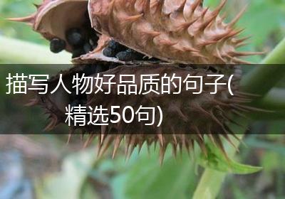 描写人物好品质的句子(精选50句)