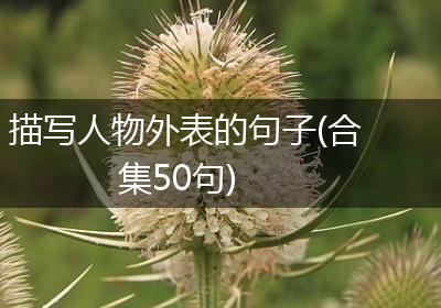 描写人物外表的句子(合集50句)