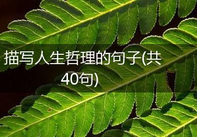 描写人生哲理的句子(共40句)