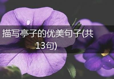 描写亭子的优美句子(共13句)