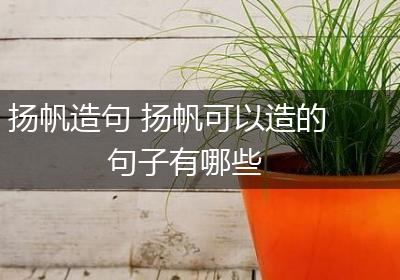 扬帆造句 扬帆可以造的句子有哪些