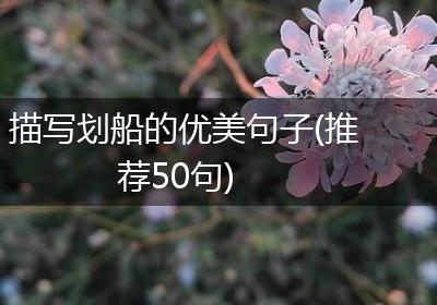 描写划船的优美句子(推荐50句)