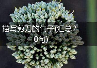 描写剪刀的句子(汇总20句)