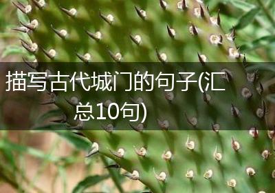 描写古代城门的句子(汇总10句)