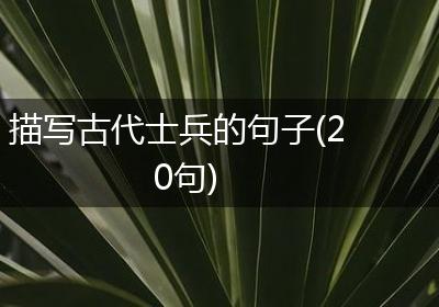 描写古代士兵的句子(20句)