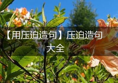 【用压迫造句】压迫造句大全