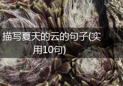 描写夏天的云的句子(实用10句)