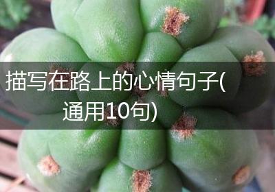 描写在路上的心情句子(通用10句)