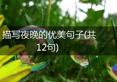 描写夜晚的优美句子(共12句)