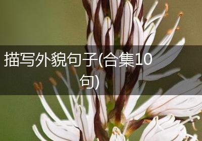 描写外貌句子(合集10句)
