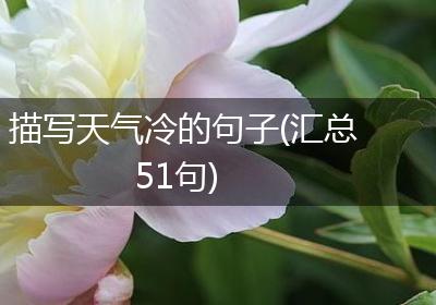 描写天气冷的句子(汇总51句)