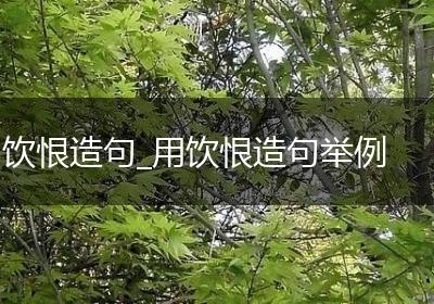 饮恨造句_用饮恨造句举例