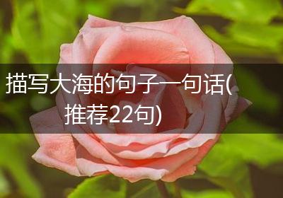 描写大海的句子一句话(推荐22句)