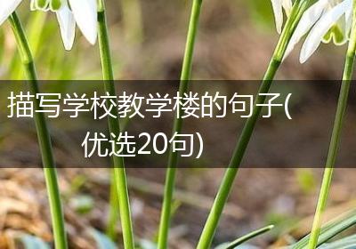 描写学校教学楼的句子(优选20句)