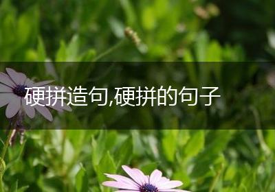 硬拼造句,硬拼的句子