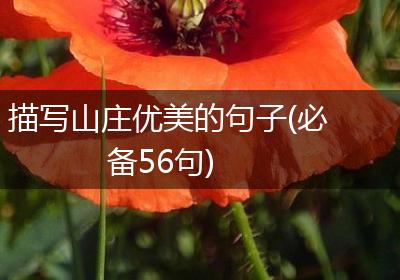 描写山庄优美的句子(必备56句)