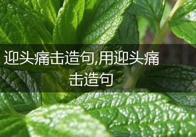 迎头痛击造句,用迎头痛击造句