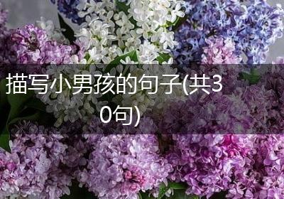 描写小男孩的句子(共30句)