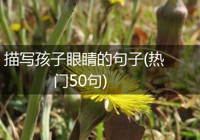 描写孩子眼睛的句子(热门50句)