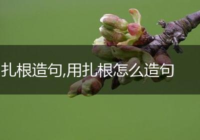 扎根造句,用扎根怎么造句