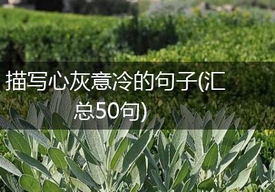 描写心灰意冷的句子(汇总50句)