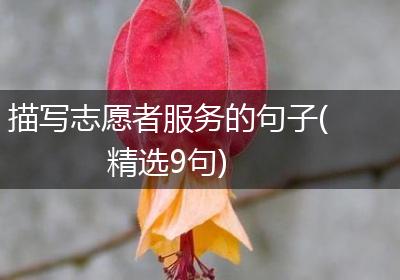描写志愿者服务的句子(精选9句)