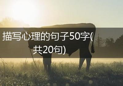 描写心理的句子50字(共20句)