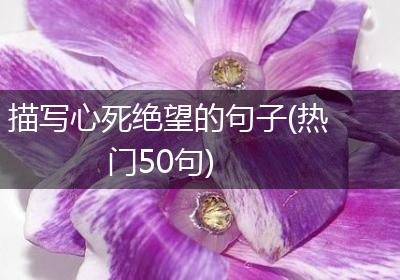 描写心死绝望的句子(热门50句)