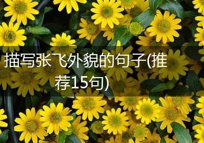 描写张飞外貌的句子(推荐15句)