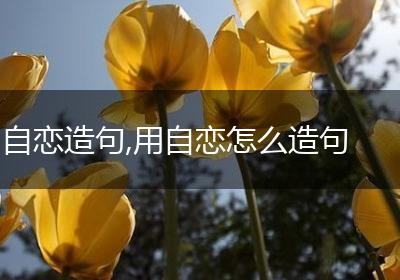 自恋造句,用自恋怎么造句