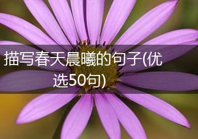 描写春天晨曦的句子(优选50句)