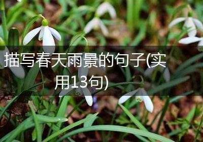 描写春天雨景的句子(实用13句)