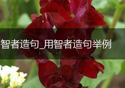 智者造句_用智者造句举例