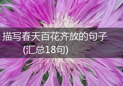 描写春天百花齐放的句子(汇总18句)